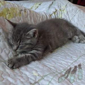 Meet your Posher, Melanie